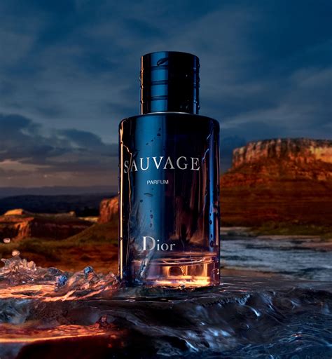 dior sauvage parfum klarna|dior sauvage vanilla.